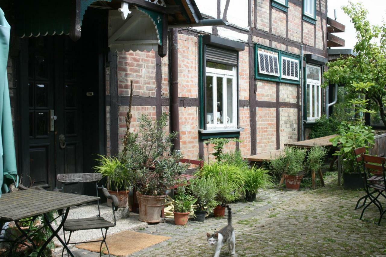 Apartments Cafe Brennnessel Veltheim Exterior photo